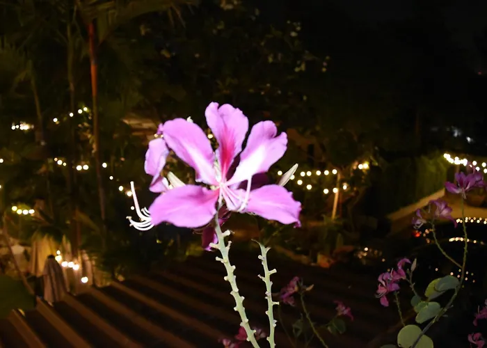 Thongtara House Boutique Srinakarin Hotell Bangkok